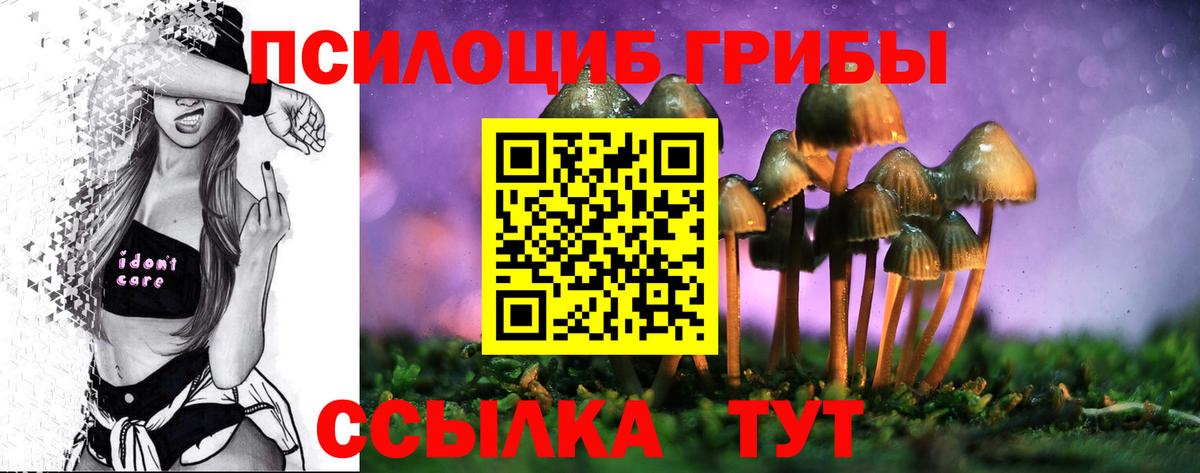 Кисловодск  Псилоцибиновые грибы Psilocybe  Вход с VPN 