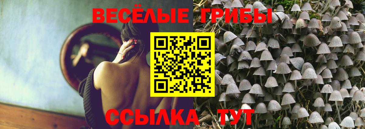 Галлюциногенные грибы прущие грибы Кисловодск